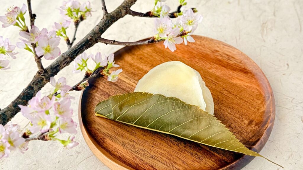 長命寺桜もち山本や_1枚の桜葉に包まれた「桜もち」