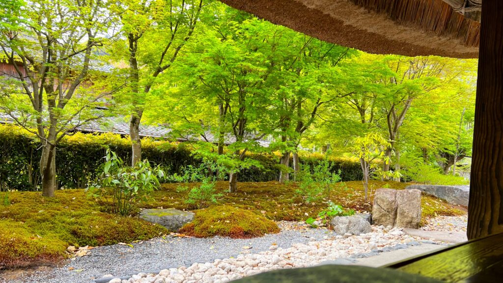 エスプレッソと嵐山庭園_庭園1