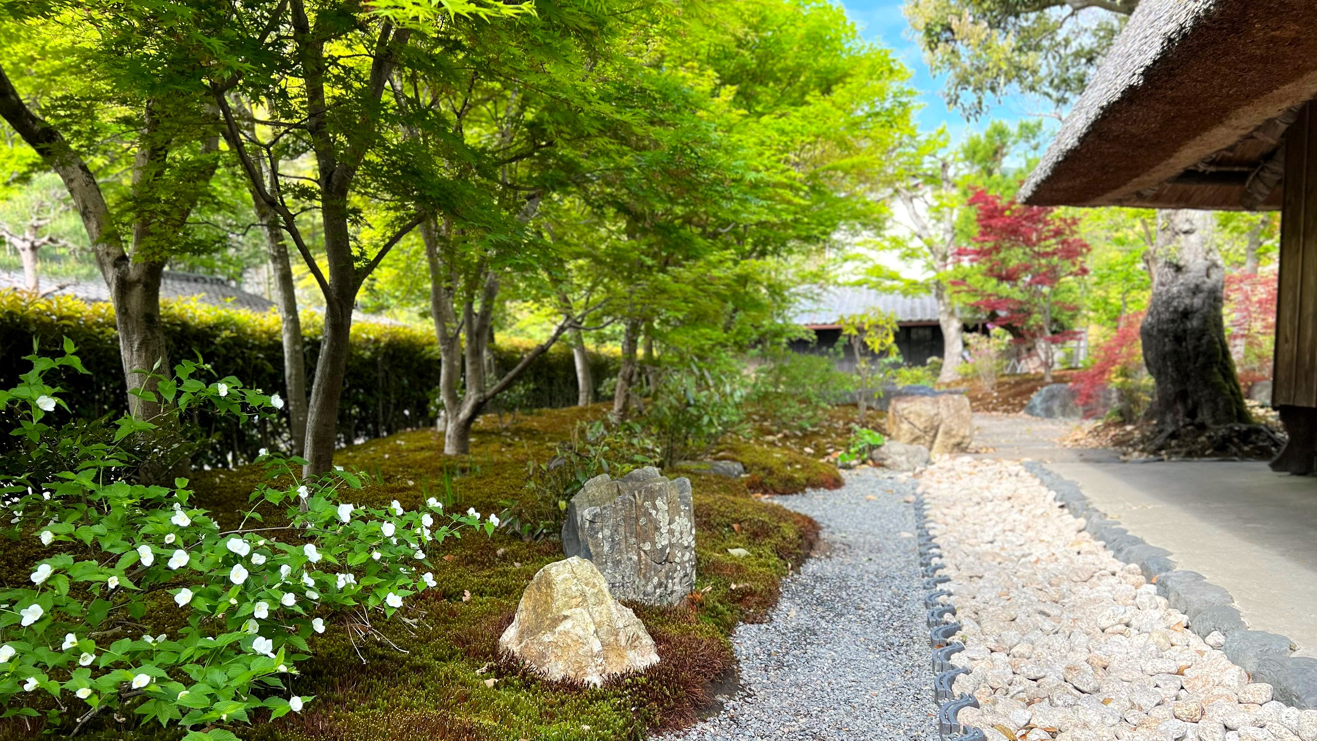 エスプレッソと嵐山庭園_庭園