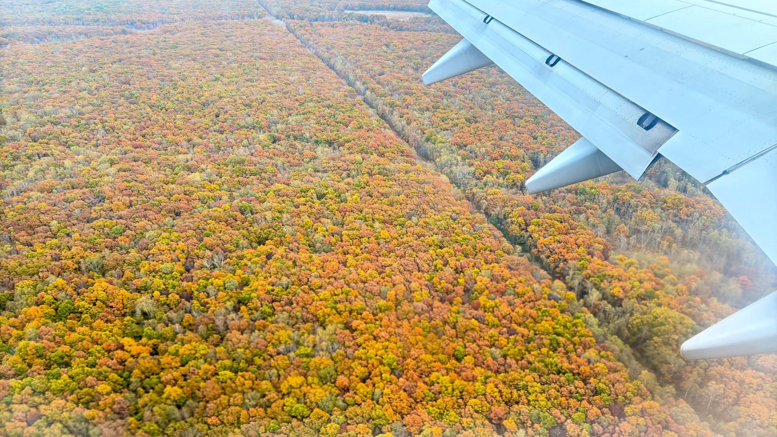 飛行機から見た紅葉