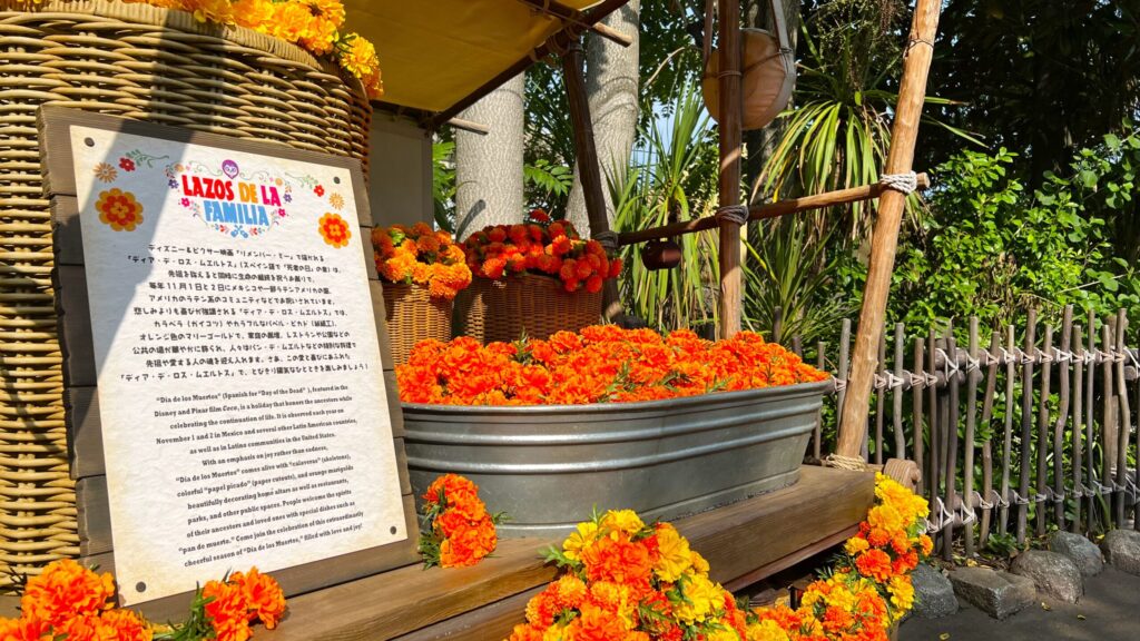 東京ディズニーシー_マリーゴールドが飾られている様子