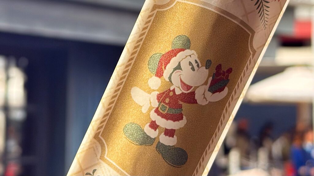 東京ディズニーリゾート_期間限定スイーツ「チョコレートチュロス」がはいった袋