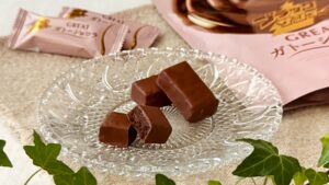 有楽製菓_「ブラックサンダーGREATガトーショコラ」の皿盛りとパッケージ