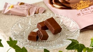 有楽製菓_「ブラックサンダーGREATガトーショコラ」の皿盛りとパッケージ